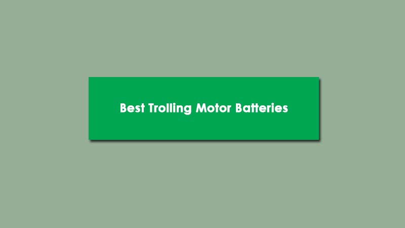 Top 5 Best Batteries for Trolling Motor Marines
